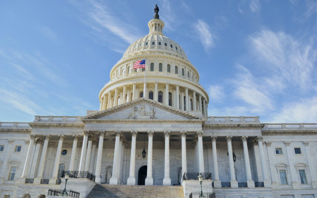 Recapping the 2024 Federal Election and Impact on Policy Priorities in America