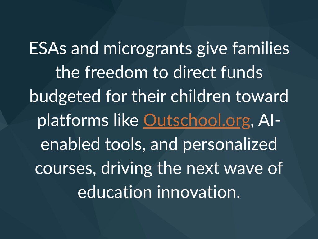 Platforms like Outschool.org give funds to families to support education choice and innovation.