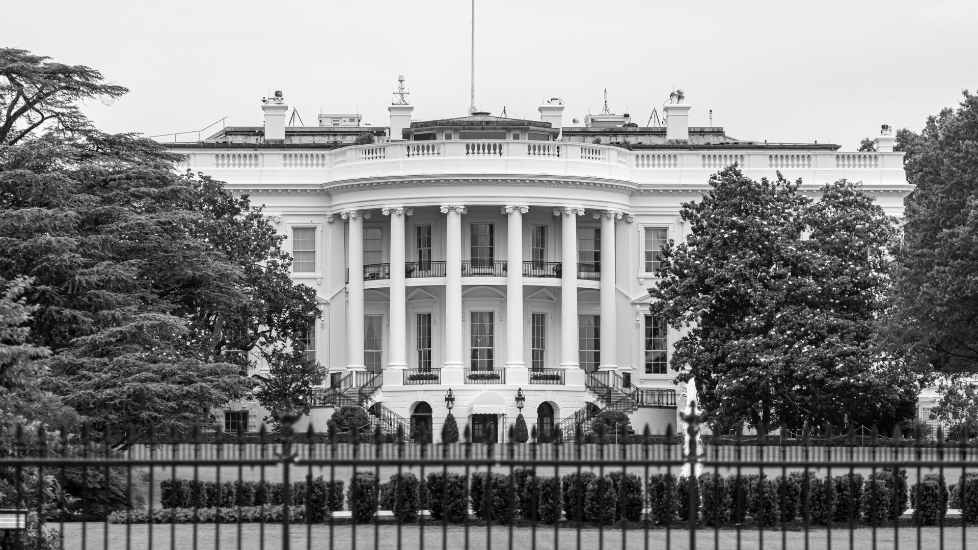 The Executive Branch