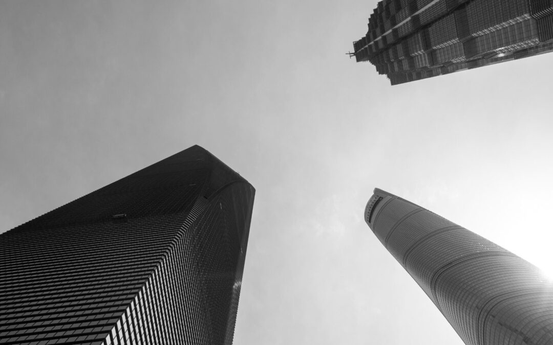 Government Accountability and Transparency