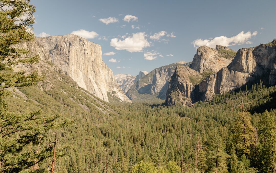 Earth Day and the Rise of America’s Conservation Movement